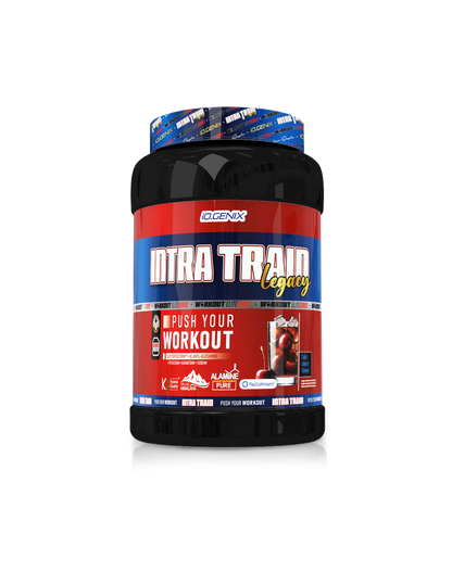 INTRA TRAIN LEGACY