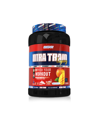 INTRA TRAIN LEGACY